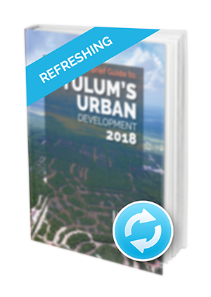Tulum's Urban Development